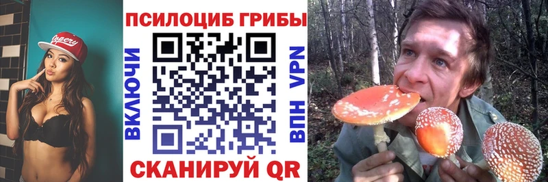 МЕГА ТОР  Талдом  Псилоцибиновые грибы мухоморы 
